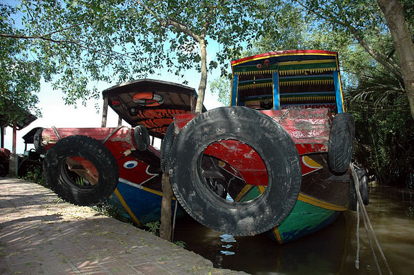 DSC_8607.jpg