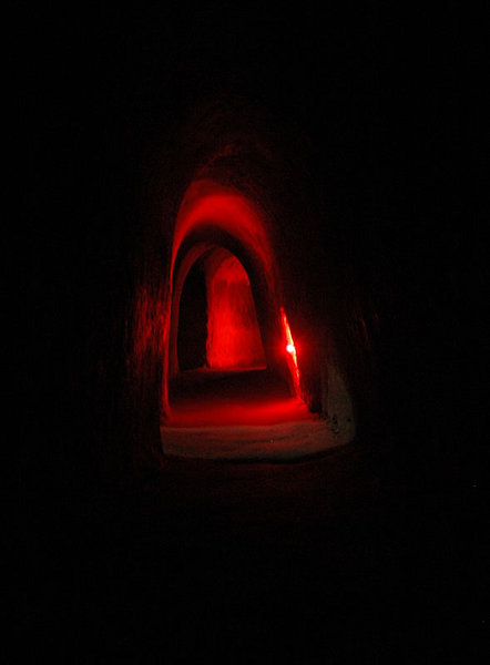 DSC_8684.jpg