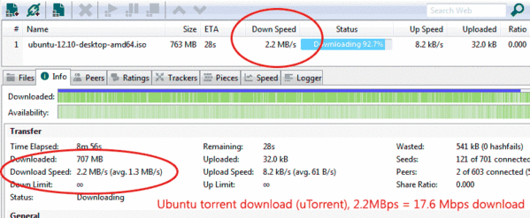 True_DOCSIS_torrent_#2.gif