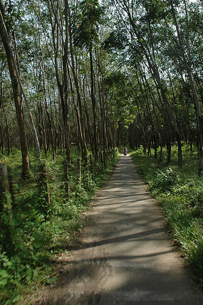 DSC_9238.jpg