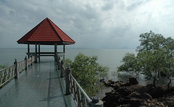 DSC_9242.jpg