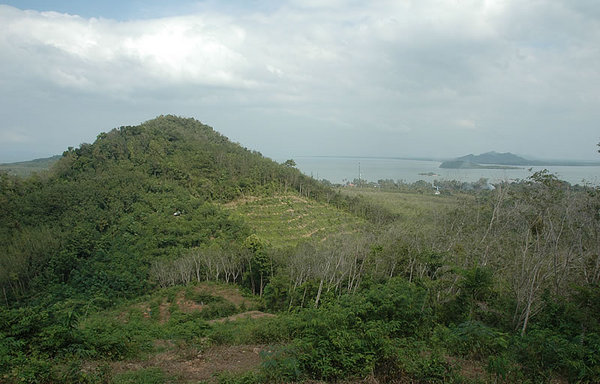 DSC_9247.jpg