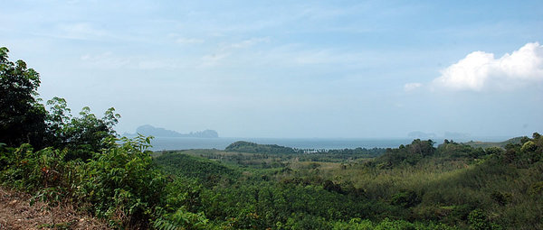 DSC_9250.jpg
