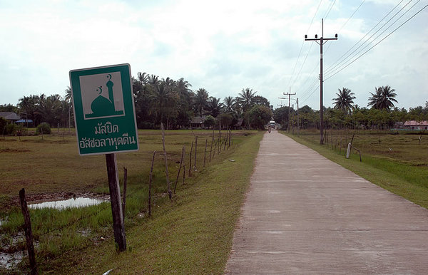 DSC_9255.jpg