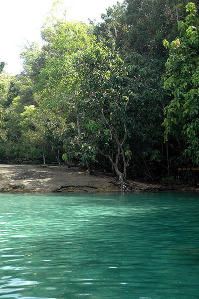 DSC_9354.jpg