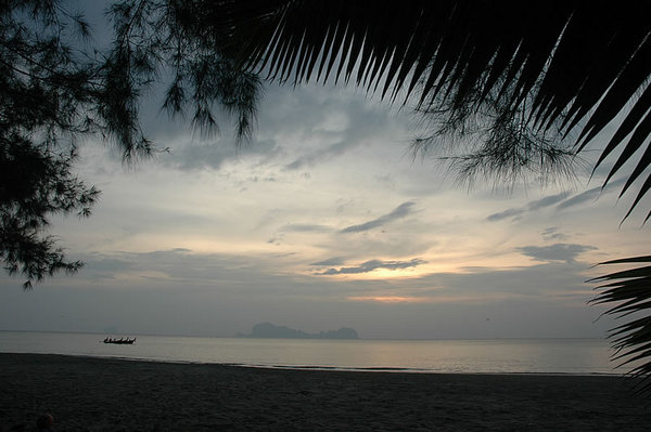 DSC_9317.jpg