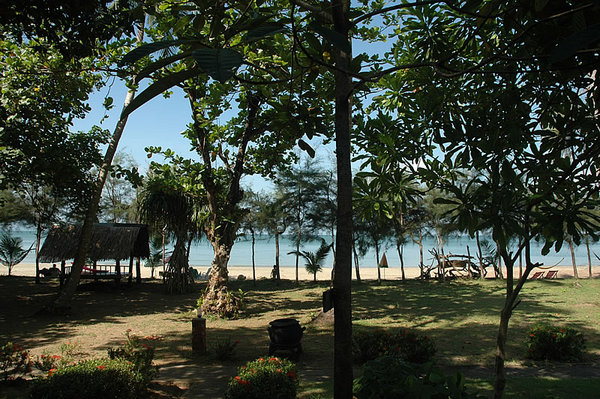 DSC_9326.jpg