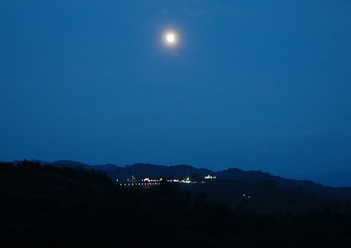 DSC_9417.jpg