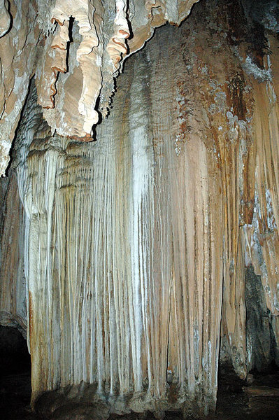 DSC_9615.jpg