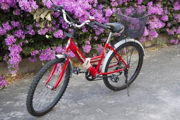 red-1.jpg