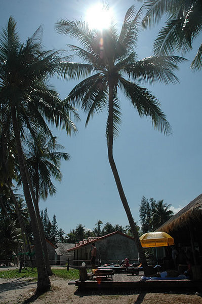 DSC_9878.jpg