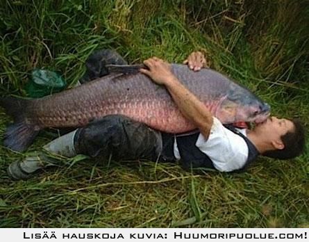 fish_big.jpg