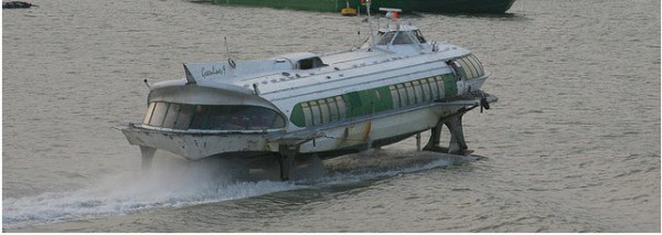 green line.jpg