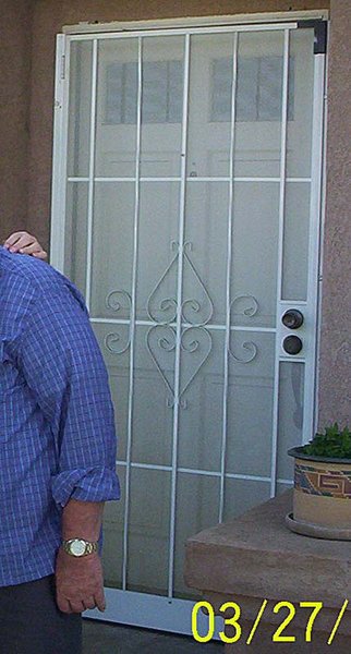 hemet-security-door.jpg
