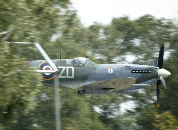 spitfire goodwood.jpg