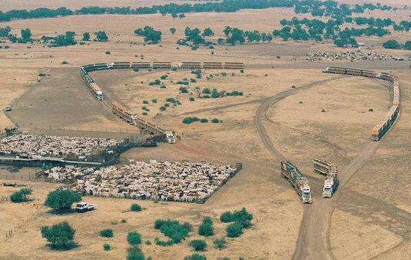 road trains2.jpg