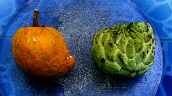 s95-2013-09-03-00070-2Fruits-600.jpg