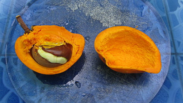 s95-2013-09-03-00071-PumpkinHalves-650.jpg