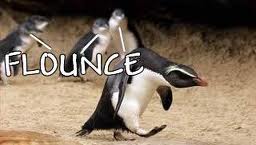 flounce.jpg