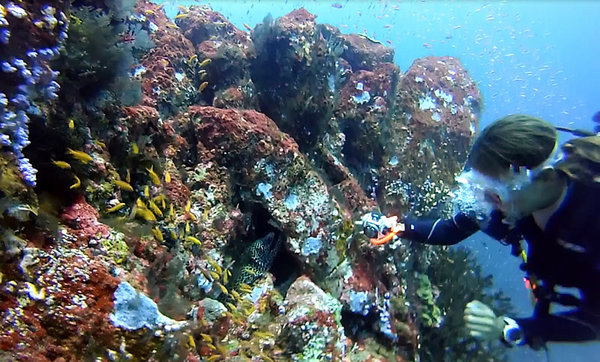 gopro5.jpg
