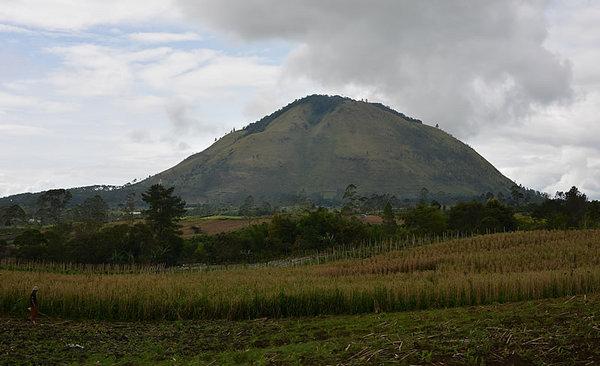 DSC_0382.jpg