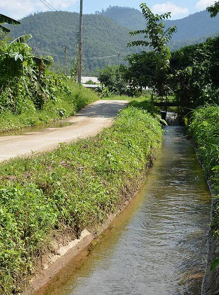 DSC_0732.jpg