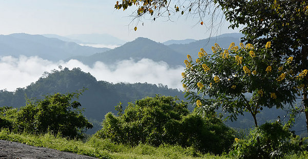 DSC_0859.jpg