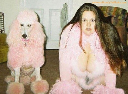 poodle2.jpg