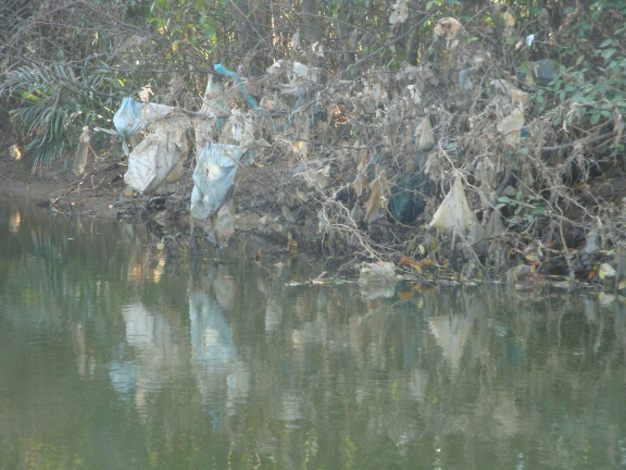 Unfortunately, the river had recently flooded, and in places a lot of the trees were sporting the associated debris.