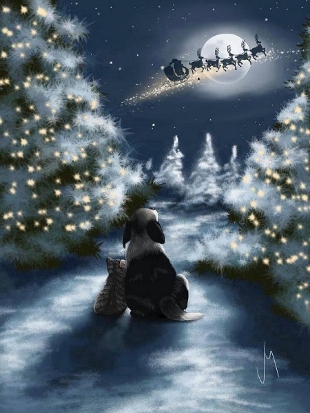 merry christmas.jpg