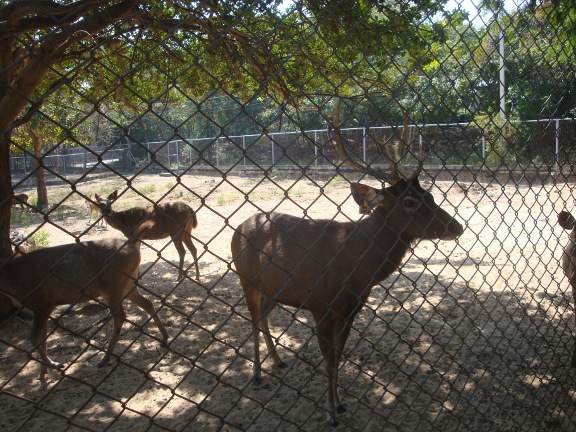 DSC01312b.JPG