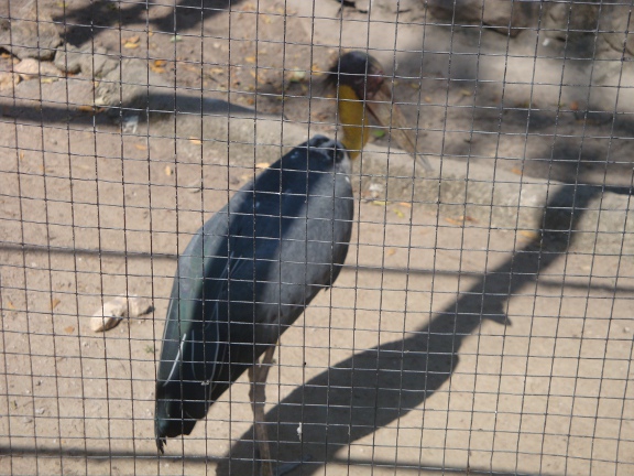 DSC01355b.JPG