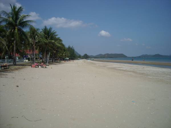 Dolphin Bay beach looking north