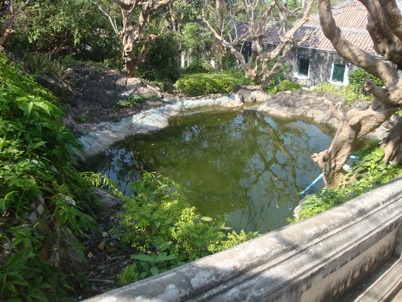 Scattered water features