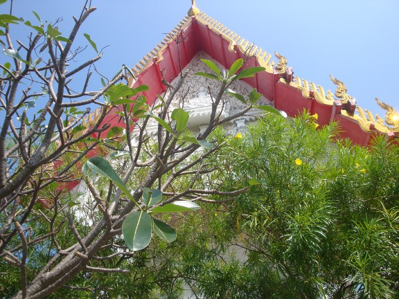The Temple through the trees.