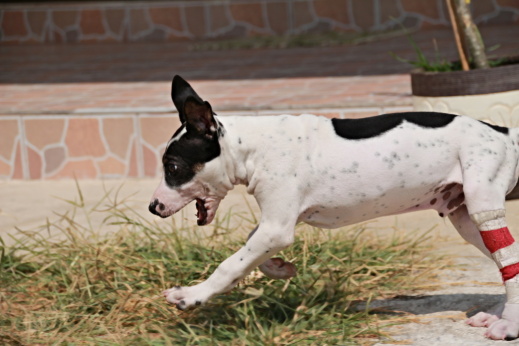 IMG_7945.JPG