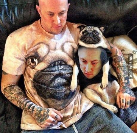 111pug.jpg