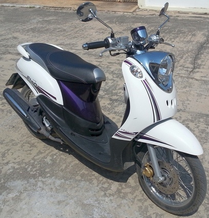 Fino 1 Crop.jpg