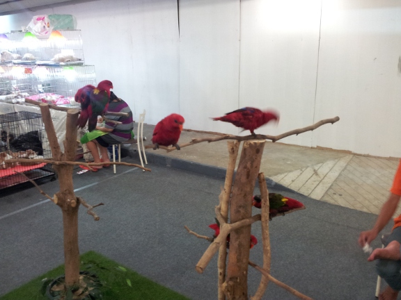 20140208_131450b.jpg