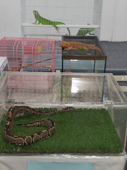 20140208_131654b.jpg
