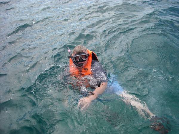Stargeezer  All Wet