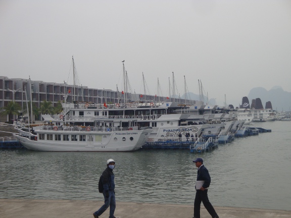 Boats in the harbour